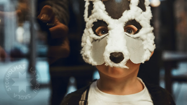 Mārtiņu svētku dalībnieks maskā